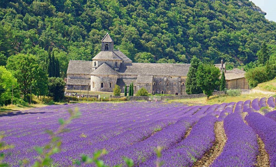 Jardins
